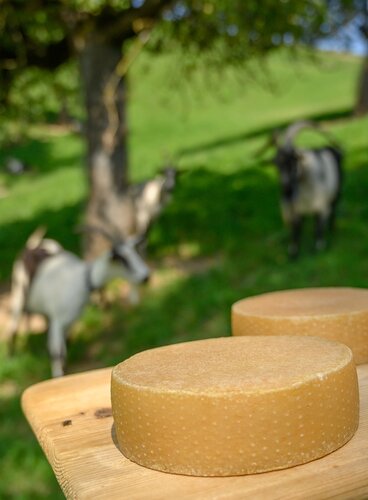Schülener Geissenkäse Schülener Geissenkäse